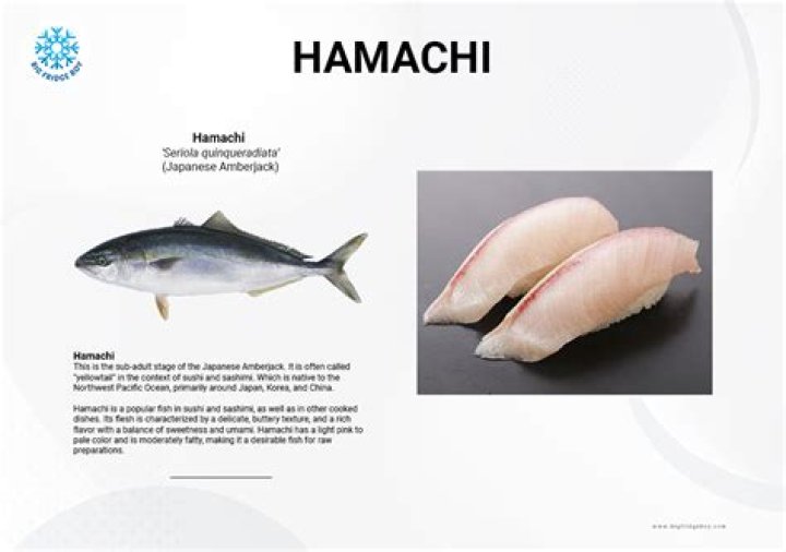 A few question about hamachi and what it will work with [duplicate]