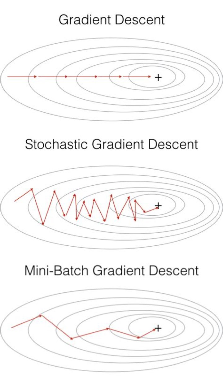 Difference between Gradient Descent method and Steepest Descent