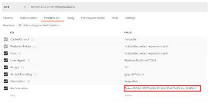Django Rest Framework - Authentication credentials were not provided