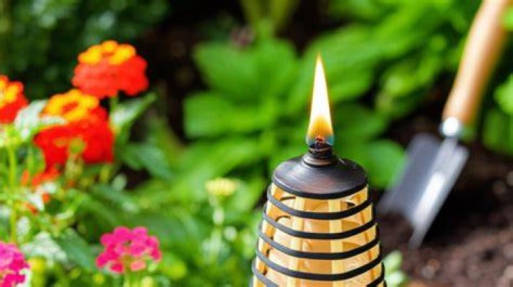 How does a Tiki Torch differ from a standard Torch?