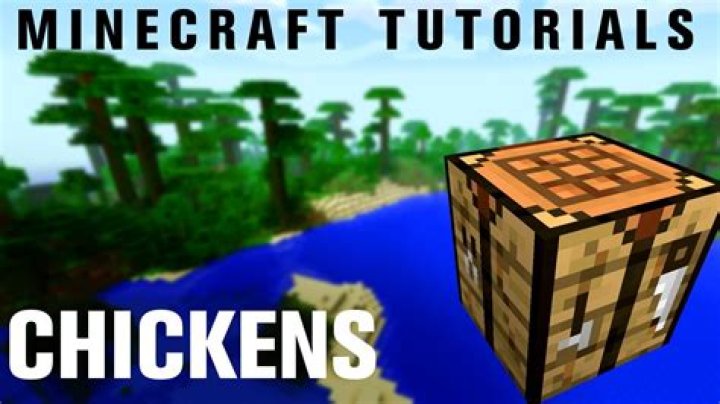 Permanently attract chickens Minecraft